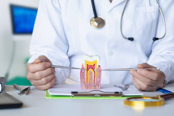 Best Urgent Dental Care in Raeford, NC